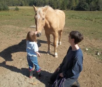 Rehab Tools for the Senior, Distressed or Dissociated Horse Rehab Tools for the Senior, Distressed or Dissociated Horse