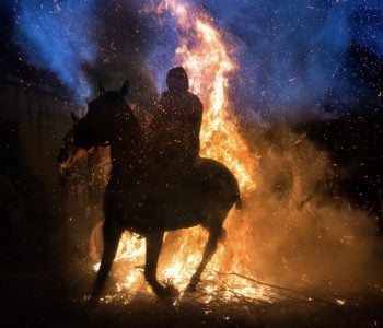 Horses, Chickens, Lizards and the Wall of Fire Horses, Chickens, Lizards and the Wall of Fire