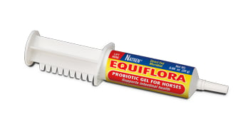 equiflora