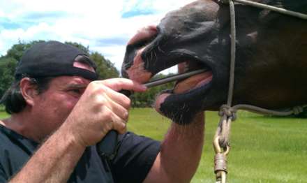 hand-float-pasture