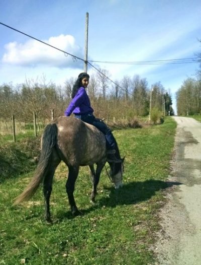 Zorra horse riding