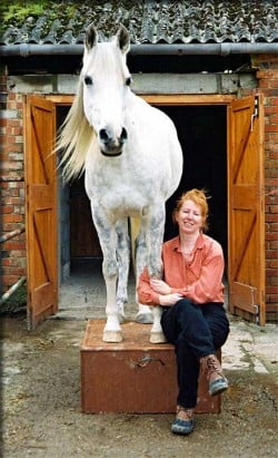Horses As Pets - Why Not?? | Listen To Your Horse