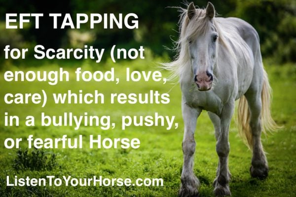VIDEO: EFT Tapping for a Horse with Scarcity of Food, Love, Care