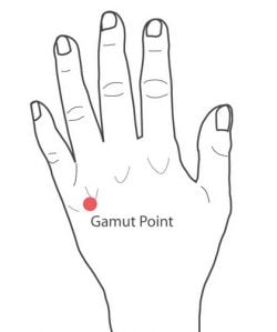 gamut-point