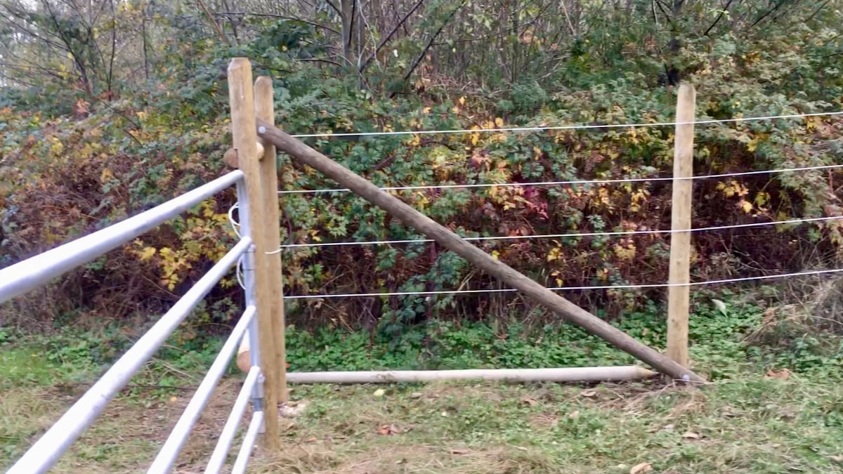 The 10 Amazing Pros And Cons Of Wire Fencing - Stella Fencing