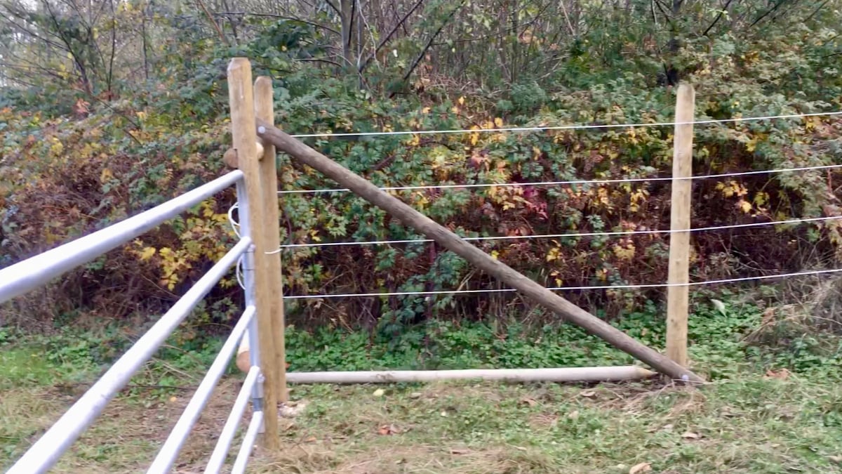 Fencing Pros and Cons & The Best Horse Fence