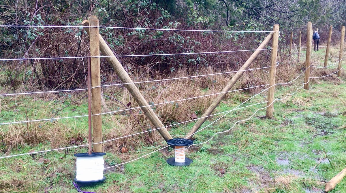 CAMEO Horse Fencing 3000 Ft