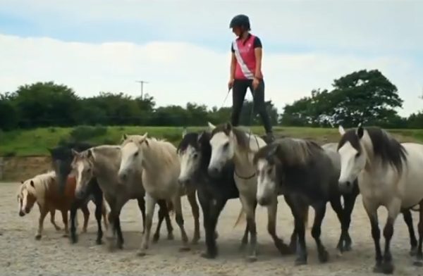 VIDEO: Emma Massingale – Liberty Equine Adventures