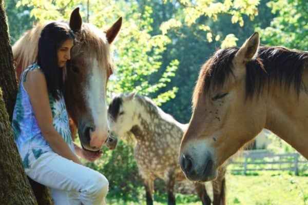 LTYH Podcast: Ways to Meditate with your Horse & Why you Should