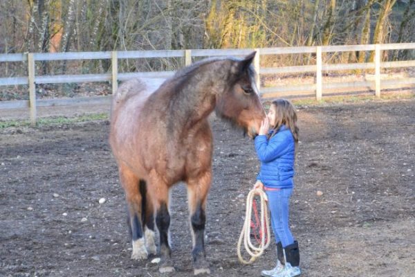 The Downside & Challenges of Equine-Assisted Therapy