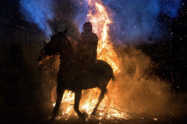 Horses, Chickens, Lizards and the Wall of Fire