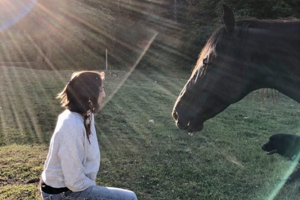 Telepathy Versus Body Language Communication with Horses