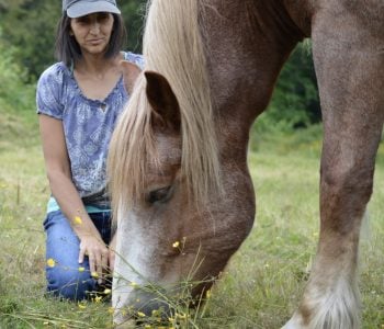 DMSO-Based Hoof Abscess Remedy DMSO-Based Hoof Abscess Remedy