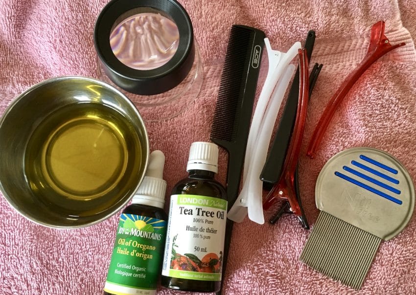 does tea tree oil kill lice and nits