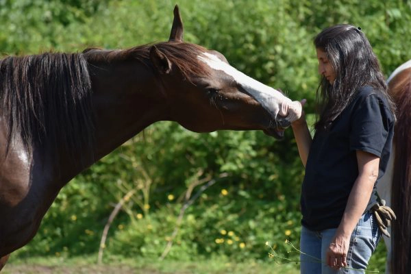 Understanding the Spiritual Nature of Horse-Human Relationship