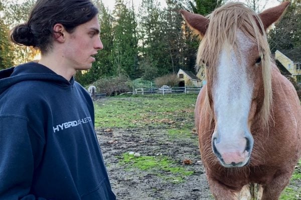 Horse Wisdom: Who Are You REALLY? Part 1