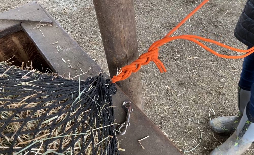 How to Tie a Slipknot on a Listen To Your Horse