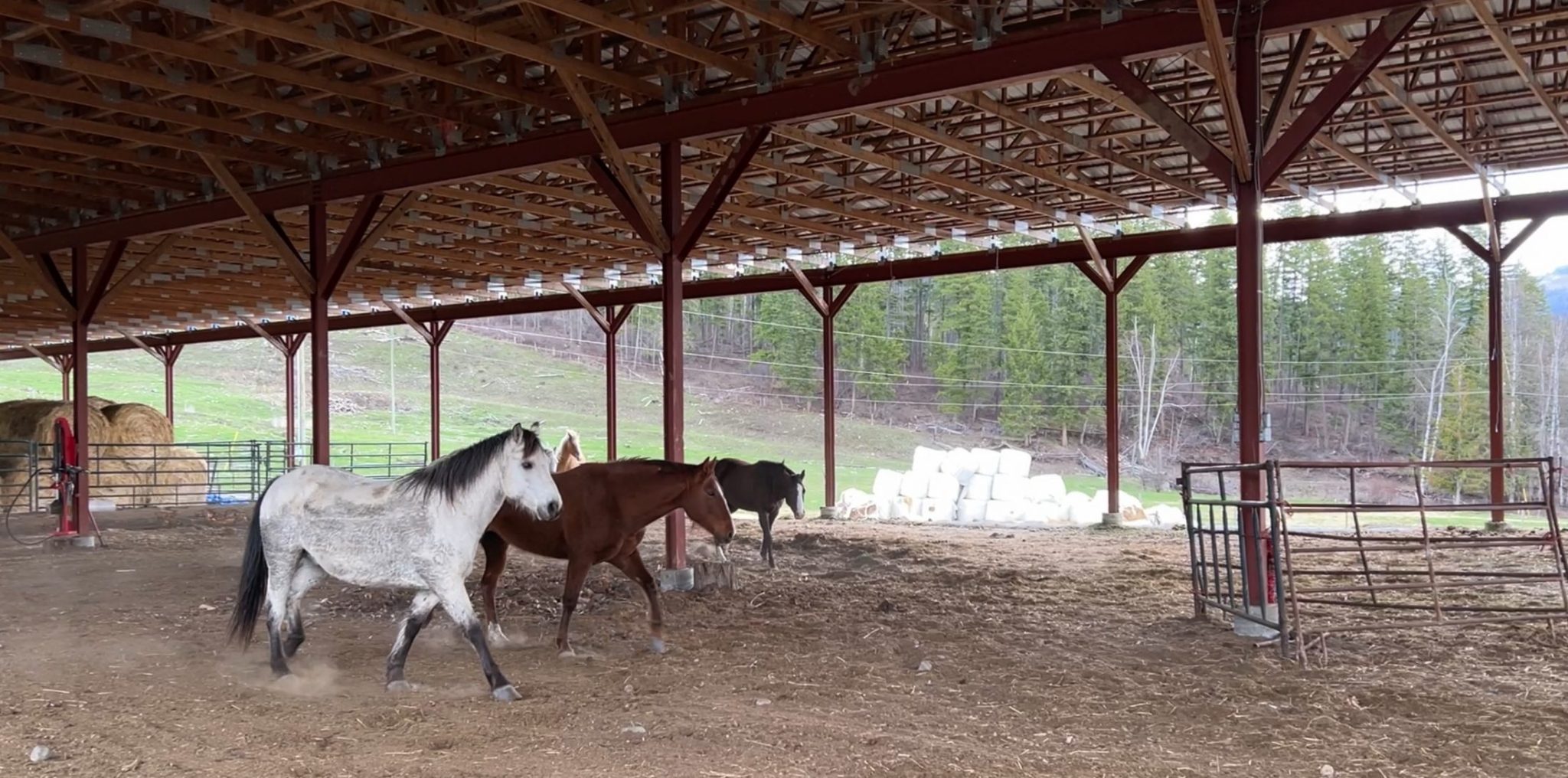 Homestead Barn Design - Homemade Ftempo