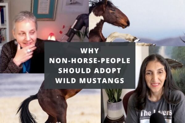 Why NON-Horse-People Should Adopt Wild Mustangs!